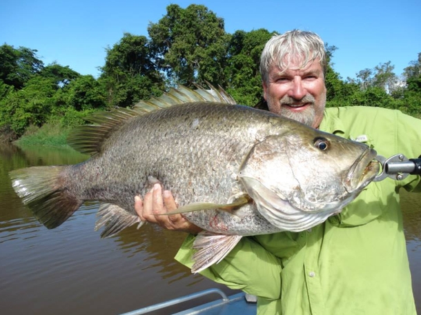 Over 20,000 trout cod were recently released into the Macquarie River at three locations downstream of Bathurst.